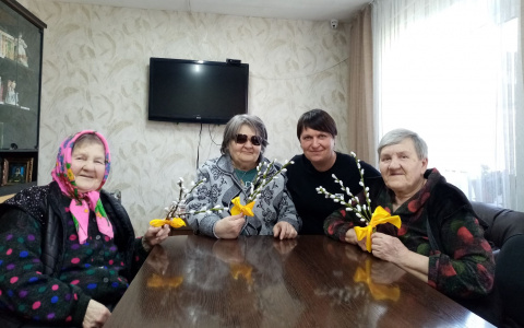 Нежная веточка вербы