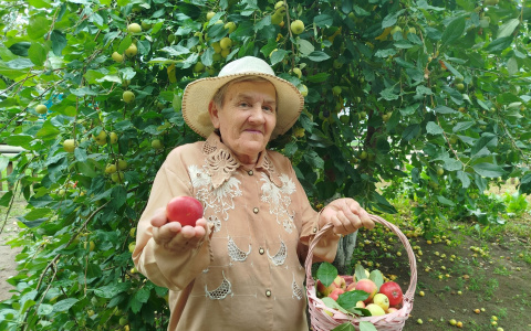 Яблочное настроение