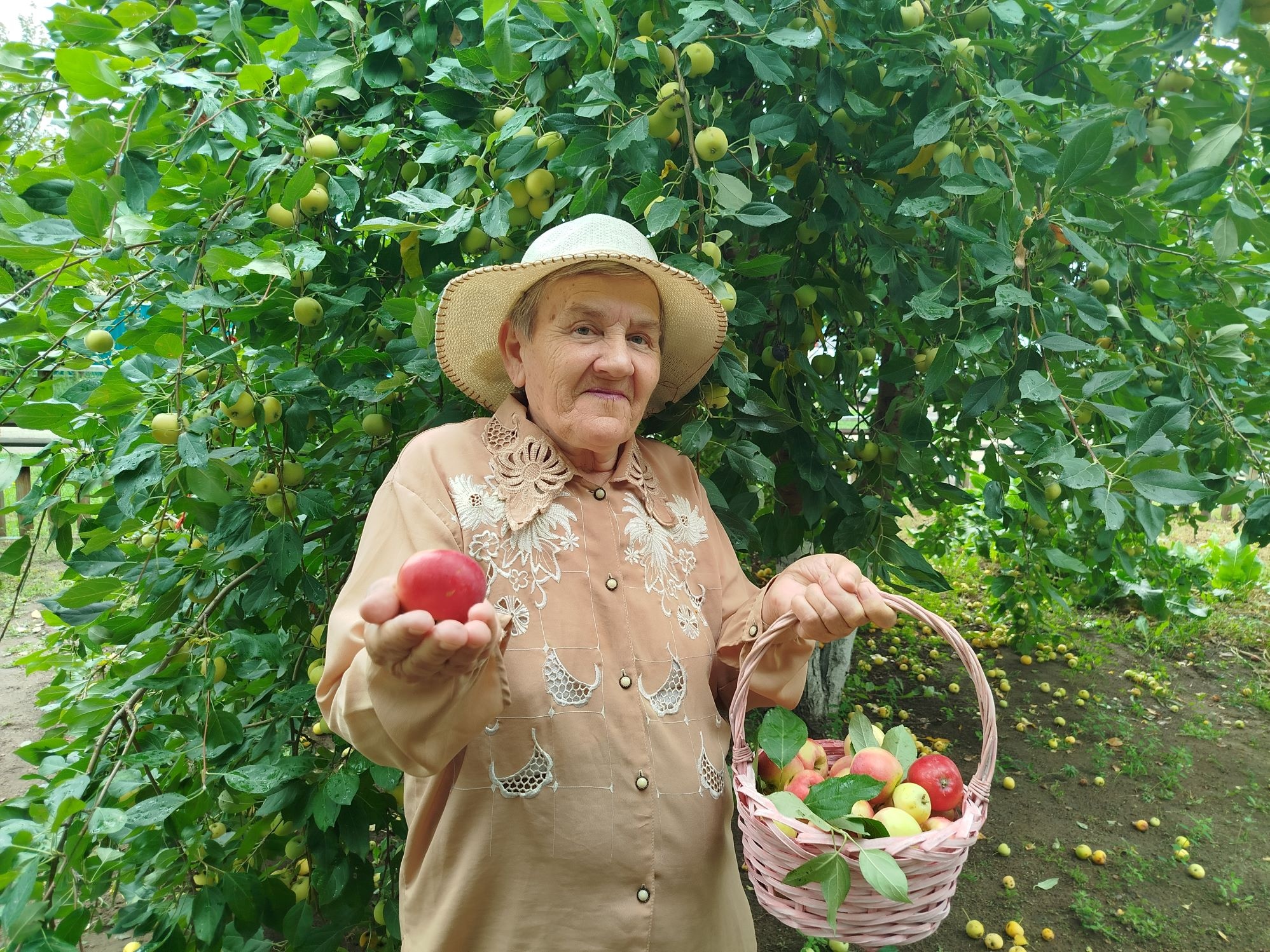 Яблочное настроение
