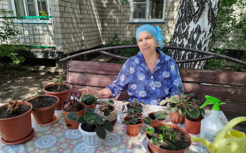 Пересаживаем цветы