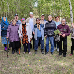 Прогулка в лесу